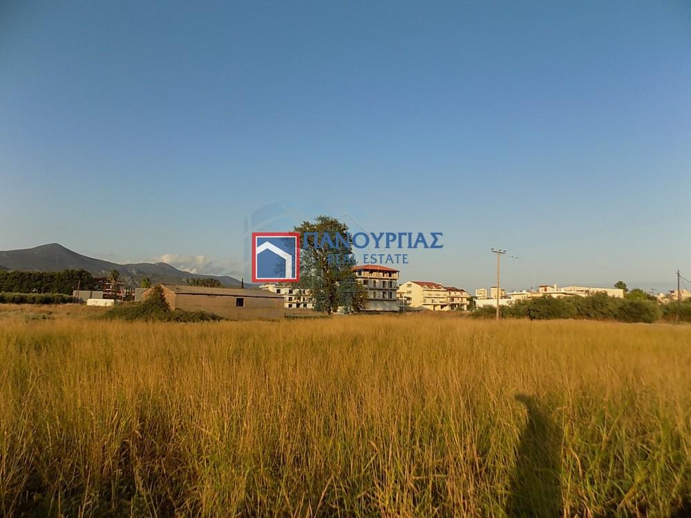 Οικόπεδο 1.600 τ.μ. πρός πώληση, Φθιώτιδας, Λαμία