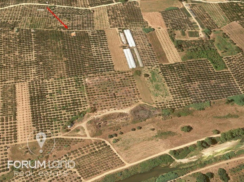 Αγροτεμάχια 5.000 τ.μ. για πώληση