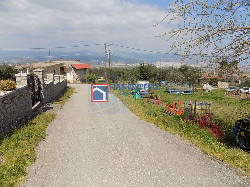Οικόπεδο 1.244τ.μ. για πώληση-Λαμία » Φραντζής