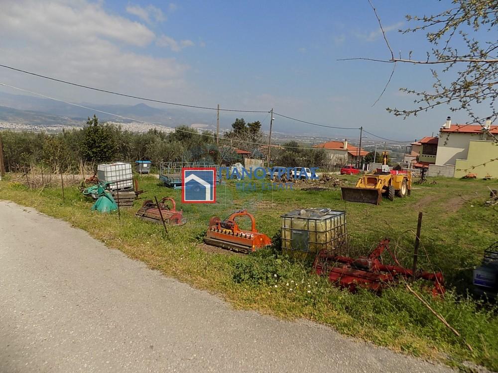 Οικόπεδο 1.244 τ.μ. πρός πώληση, Φθιώτιδας, Λαμία