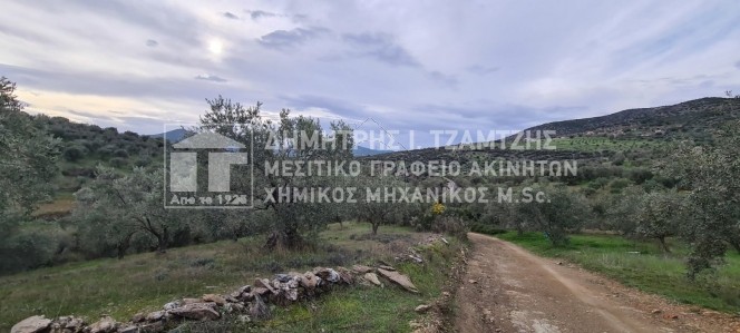 Αγροτεμάχια 14.059τ.μ. για πώληση-Νέα ιωνία βόλου » Μελισσάτικα