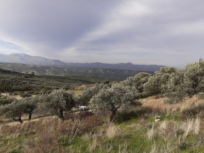 Land plot 1.160sqm for sale-Heraclion Cretes » Agios Vlasios