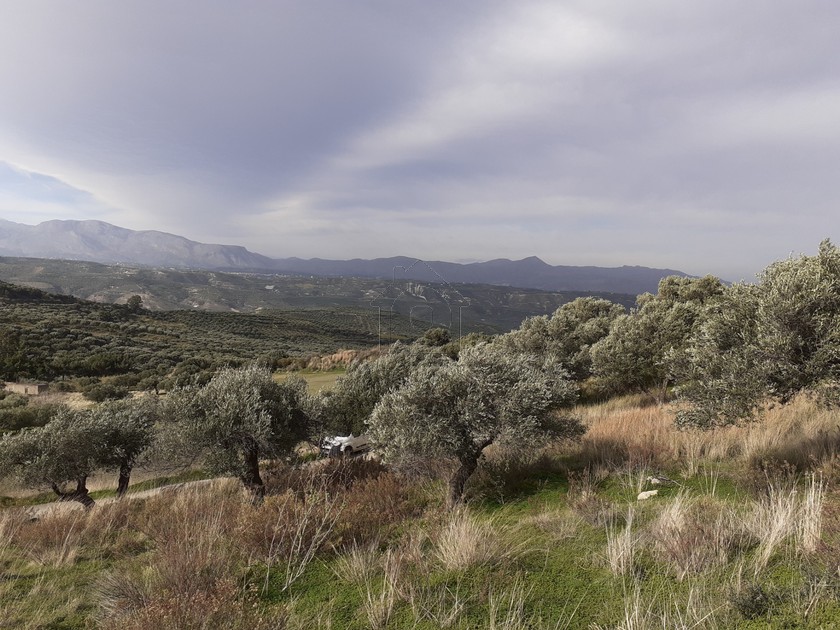Land plot 1.160 sqm for sale, Heraklion Prefecture, Heraclion Cretes