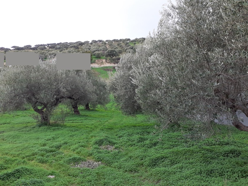 Land plot 630 sqm for sale, Heraklion Prefecture, Heraclion Cretes