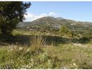 Parcel 4.248sqm for sale-Kefalonia » Eleioi-Pronoi