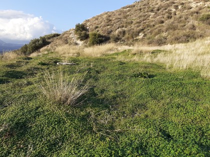 Land plot 1.618sqm for sale-Heraclion Cretes » Agios Vlasios