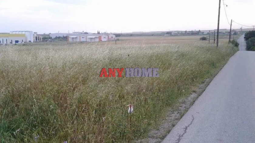 Αγροτεμάχια 8.000τ.μ. για πώληση-Καλλικράτεια » Λάκκωμα