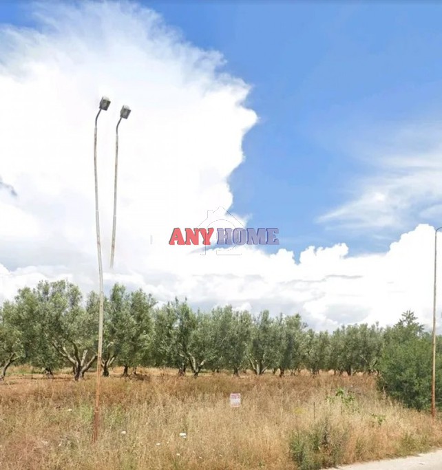 Αγροτεμάχια 4.200 τ.μ. για πώληση