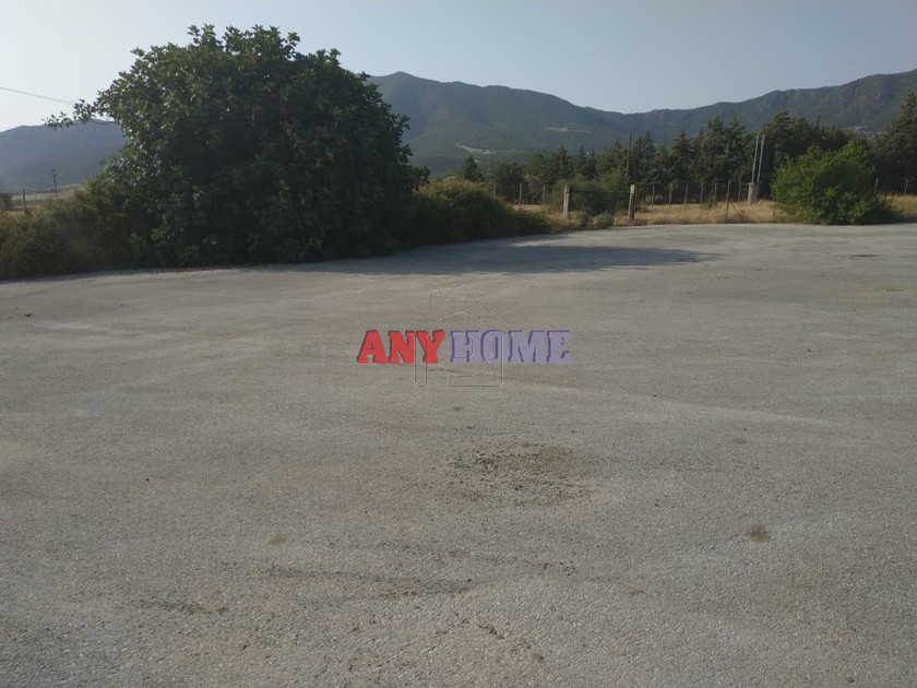 Άλλο 3.700τ.μ. για ενοικίαση-Ανθεμούντας » Γαλάτιστα