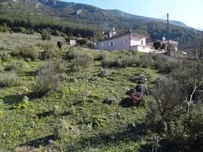 Οικόπεδο 508 τ.μ. για πώληση, Ν. Ιωαννίνων, Πέραμα-thumb-9