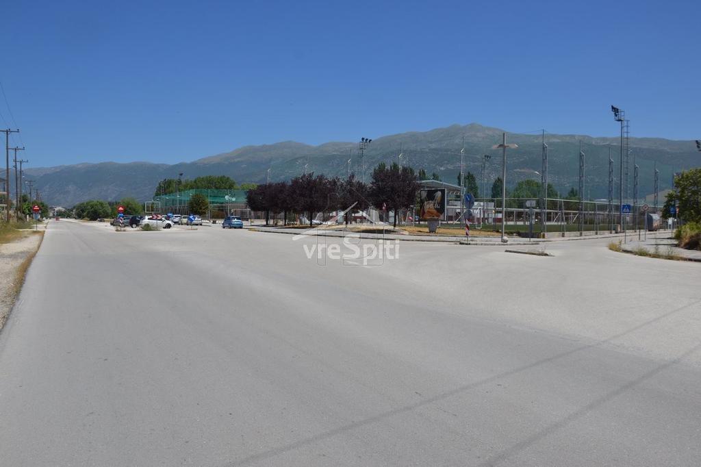 Αγροτεμάχια 6.600 τ.μ. προς ενοικίαση, Ν. Ιωαννίνων, Ιωάννινα