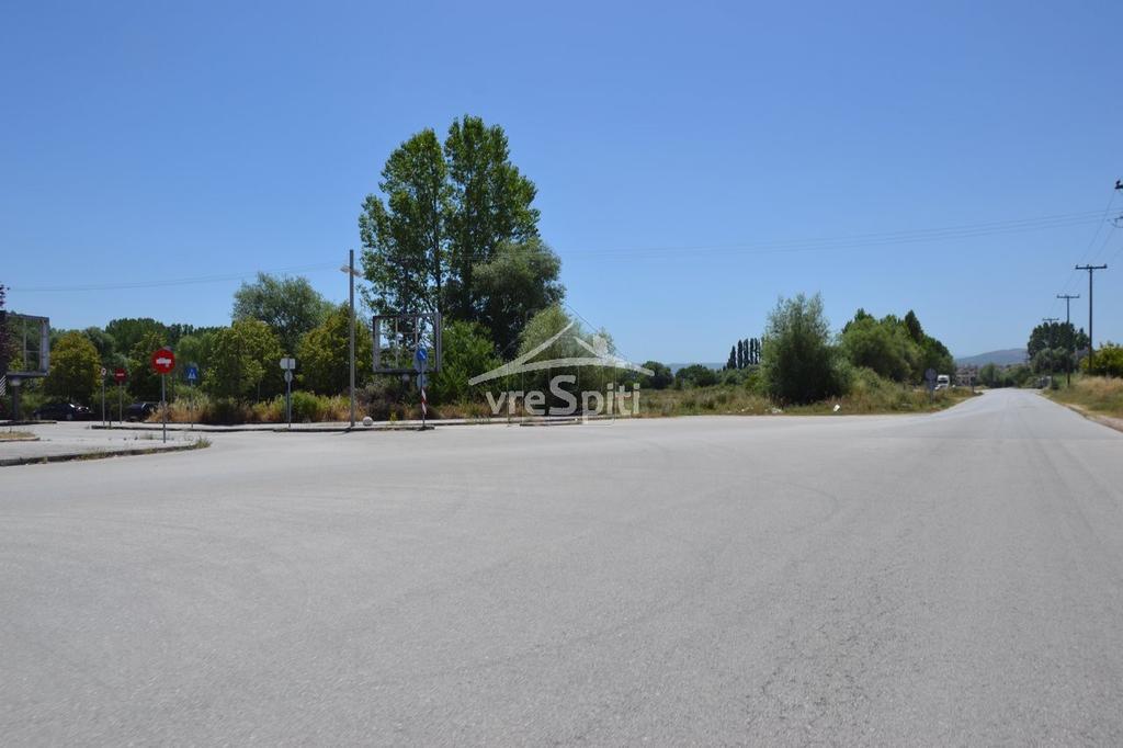 Αγροτεμάχια 6.600 τ.μ. προς ενοικίαση, Ν. Ιωαννίνων, Ιωάννινα