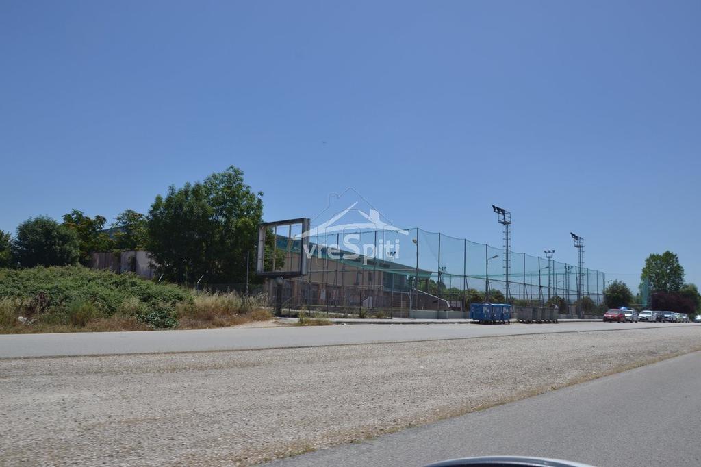Αγροτεμάχια 6.600 τ.μ. προς ενοικίαση, Ν. Ιωαννίνων, Ιωάννινα