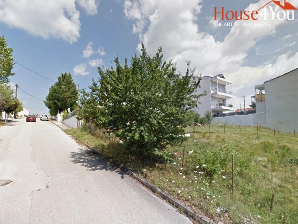 Οικόπεδο 1.368 τ.μ. πρός πώληση, Ν. Ιωαννίνων, Ιωάννινα