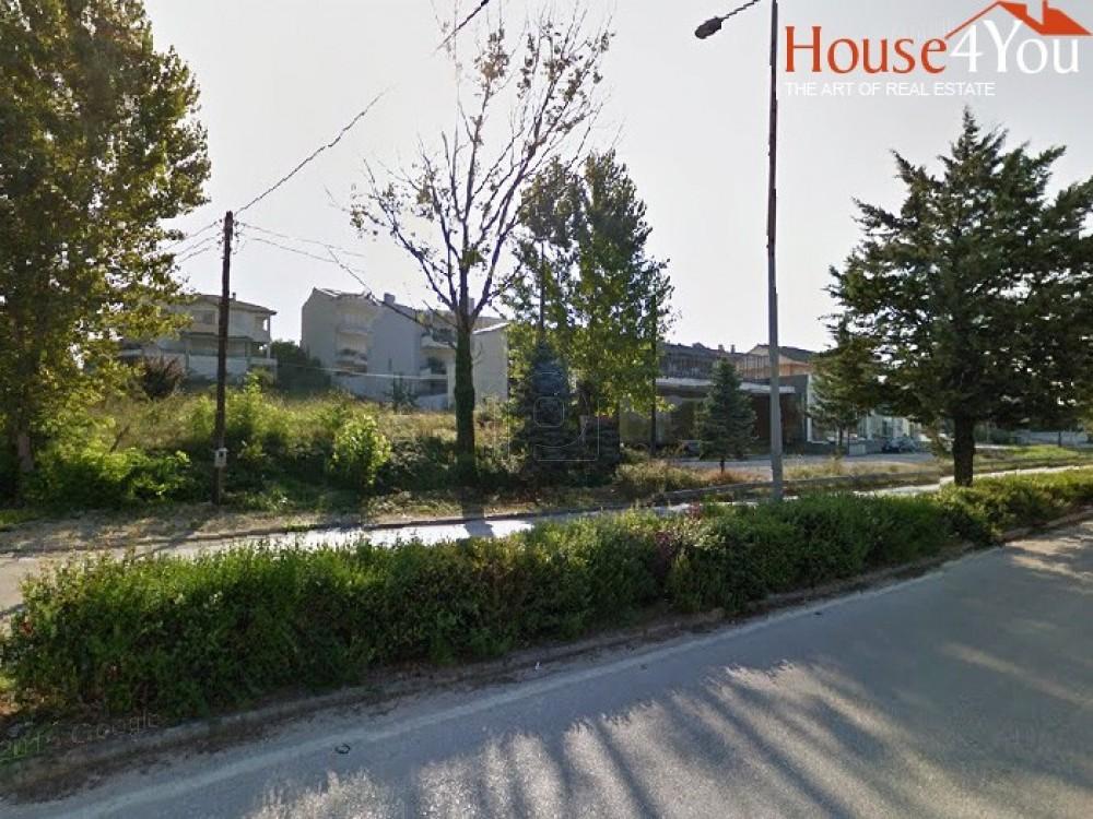 Οικόπεδο 1.368 τ.μ. πρός πώληση, Ν. Ιωαννίνων, Ιωάννινα