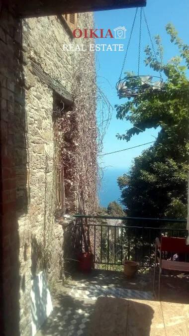 Μονοκατοικία 267 τ.μ. πρός πώληση, Μαγνησία, Ζαγορά