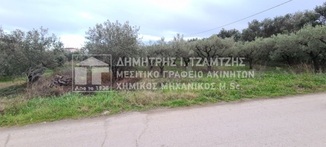 Οικόπεδο 340τ.μ. για πώληση-Νέα αγχίαλος » Δημητριάδα
