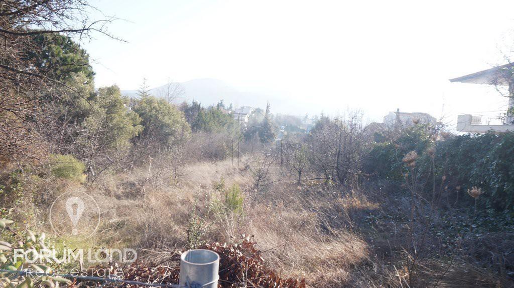 Αγροτεμάχια 2.100 τ.μ. προς πώληση, Κέντρο Πανοράματος