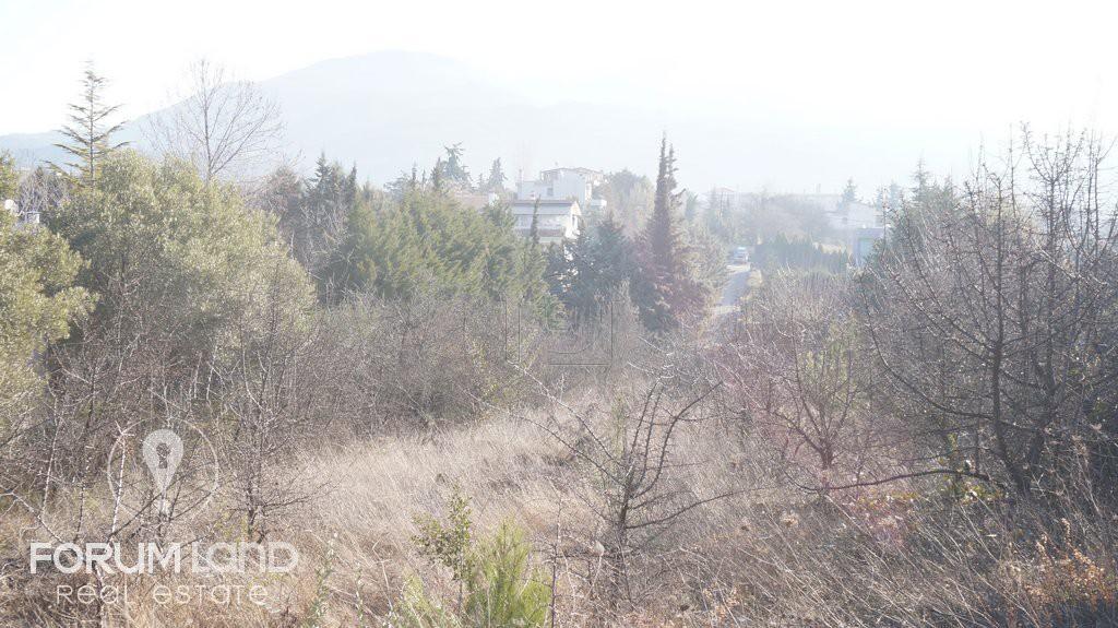 Αγροτεμάχια 2.100 τ.μ. προς πώληση, Κέντρο Πανοράματος