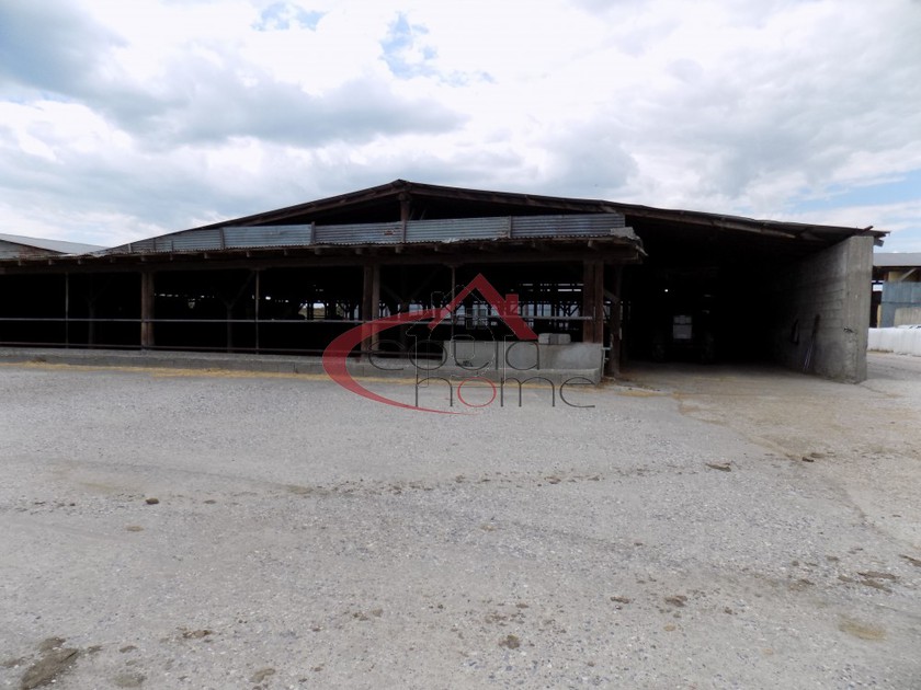 Business 60.000sqm for sale-Chalkidona » Mikro Monastiri