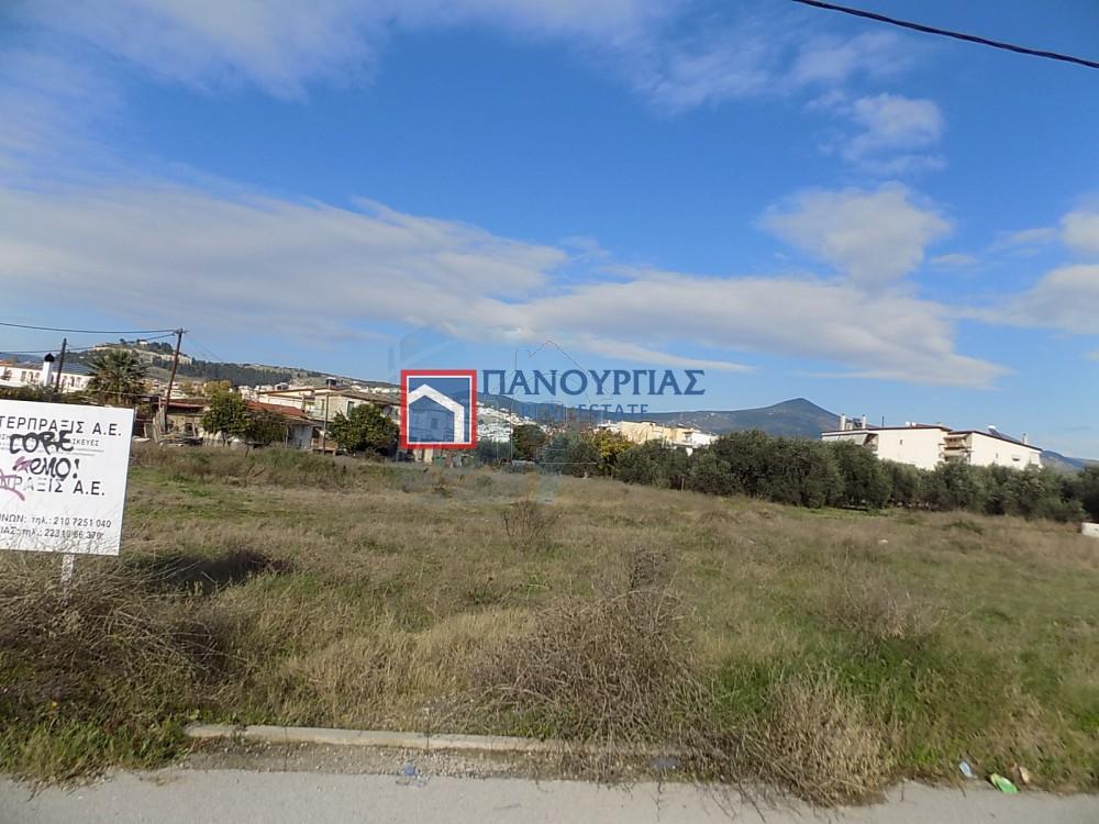 Οικόπεδο 723 τ.μ. προς πώληση, Φθιώτιδας, Λαμία
