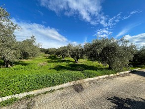 Parcel 3.000sqm for sale-Nea Tirintha » Agios Nikolaos