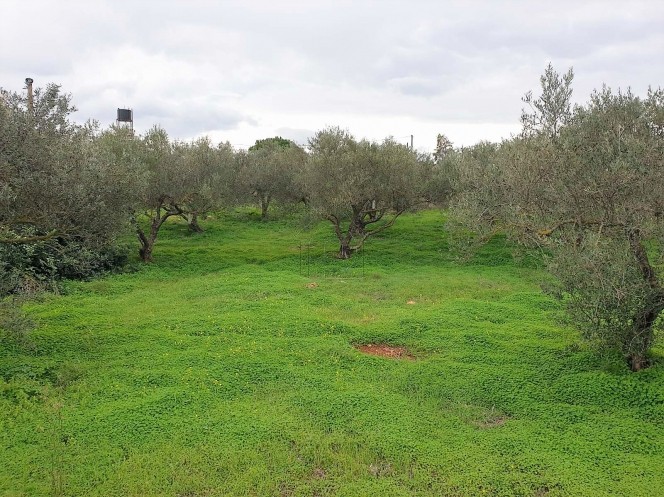 Land plot 2.075 sqm for sale