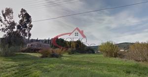 Οικόπεδο 10.000 τ.μ. για πώληση, Ν. Κέρκυρας, Κέρκυρα-thumb-6