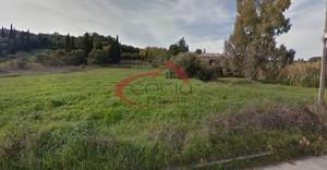 Οικόπεδο 10.000 τ.μ. για πώληση, Ν. Κέρκυρας, Κέρκυρα-thumb-18