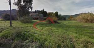 Οικόπεδο 10.000 τ.μ. για πώληση, Ν. Κέρκυρας, Κέρκυρα-thumb-19