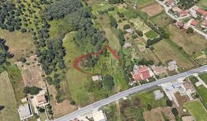 Οικόπεδο 10.000 τ.μ. για πώληση, Ν. Κέρκυρας, Κέρκυρα-thumb-31