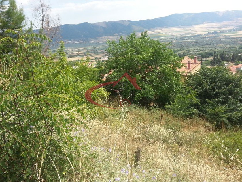Land plot 252 sqm for sale, Chalkidiki, Anthemountas