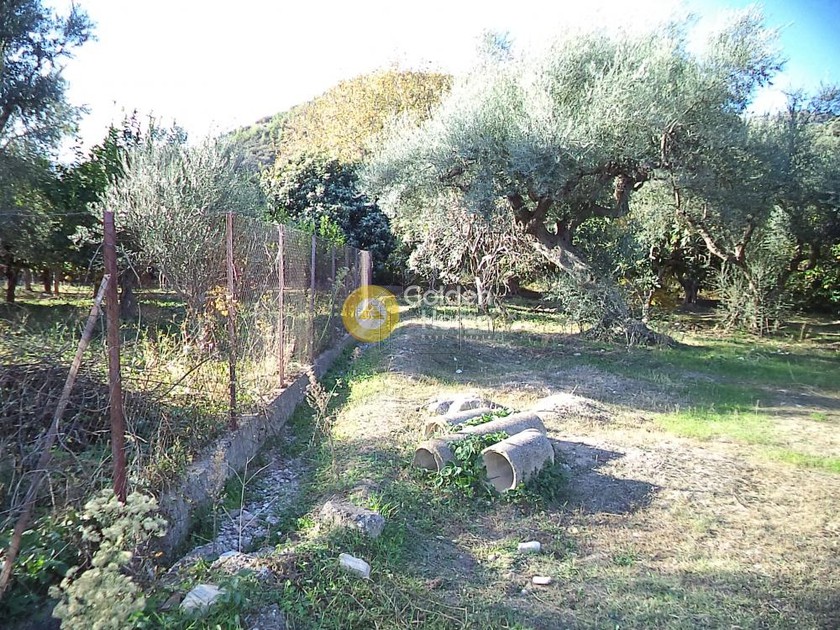Αγροτεμάχια 16.000 τ.μ. για πώληση