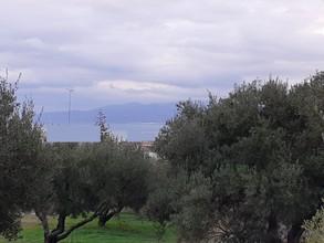 Οικόπεδο 1.327 τ.μ. για πώληση