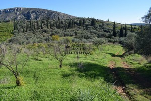 Parcel 4.000sqm for sale-Nafplio » Lefkakia