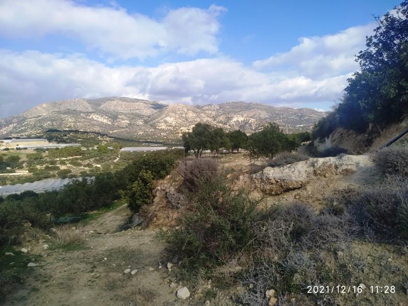 Αγροτεμάχια 11.000 τ.μ. πρός πώληση, Ν. Λασιθίου, Ιεράπετρα