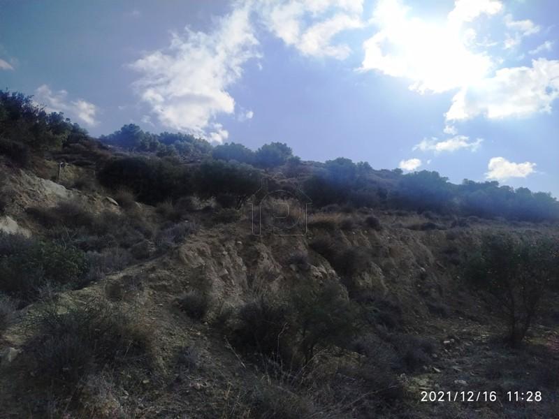 Αγροτεμάχια 11.000 τ.μ. πρός πώληση, Ν. Λασιθίου, Ιεράπετρα