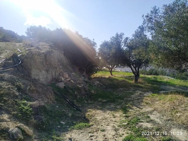 Αγροτεμάχια 11.000 τ.μ. πρός πώληση, Ν. Λασιθίου, Ιεράπετρα
