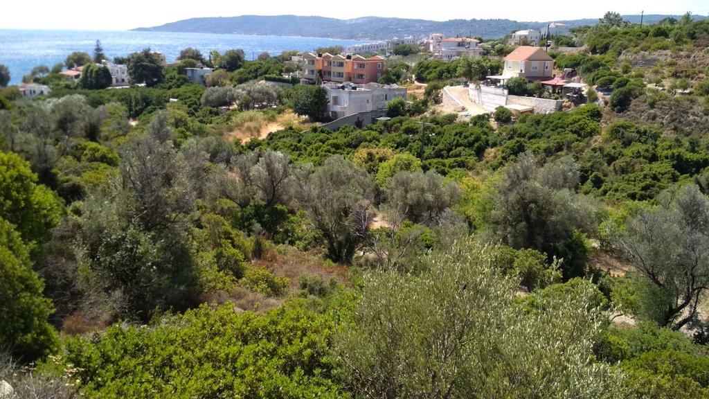 Αγροτεμάχια 3.130 τ.μ. προς πώληση, Ιωνία