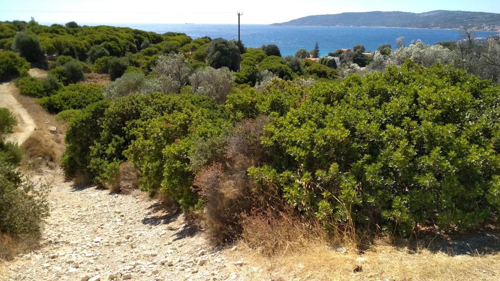 Αγροτεμάχια 3.130 τ.μ. προς πώληση, Ιωνία