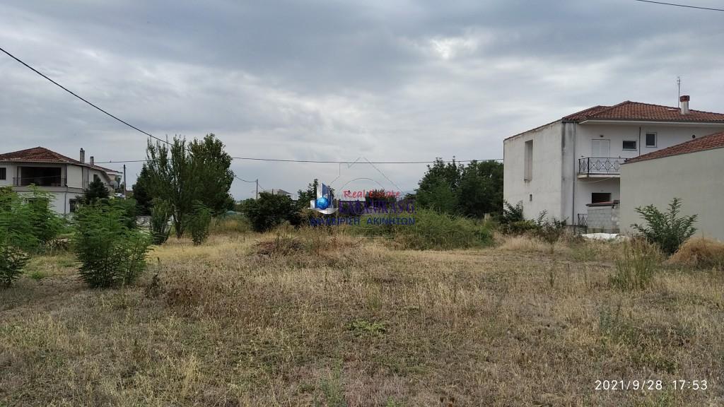 Οικόπεδο 1.170 τ.μ. προς πώληση, Καρυές Τρικάλων