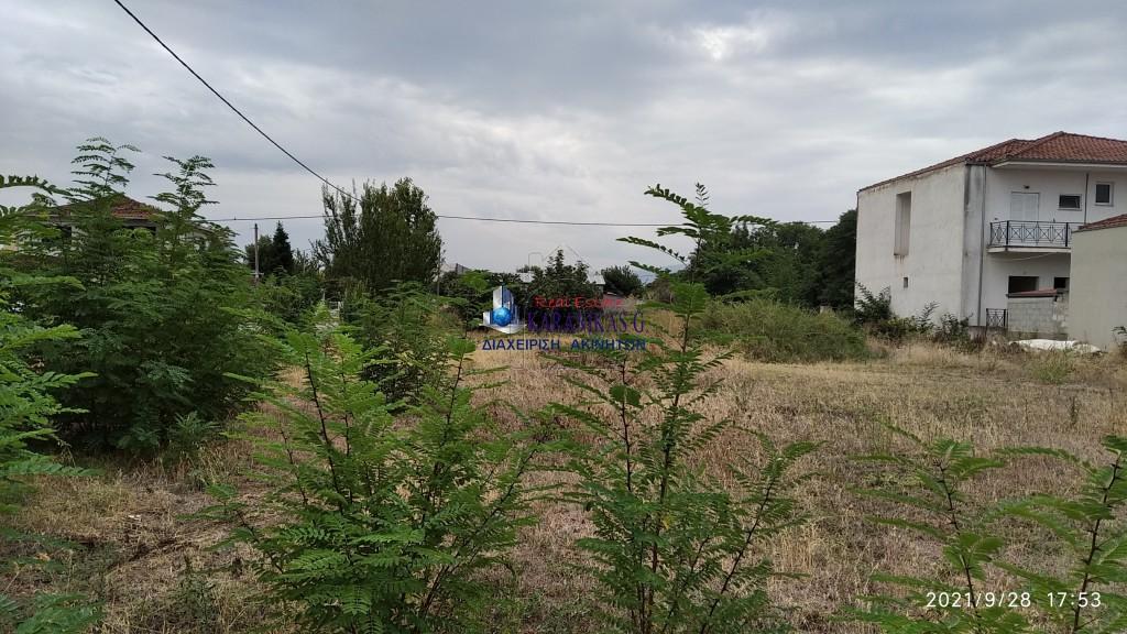 Οικόπεδο 1.170 τ.μ. προς πώληση, Καρυές Τρικάλων