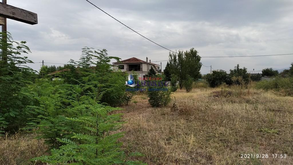 Οικόπεδο 1.170 τ.μ. προς πώληση, Καρυές Τρικάλων