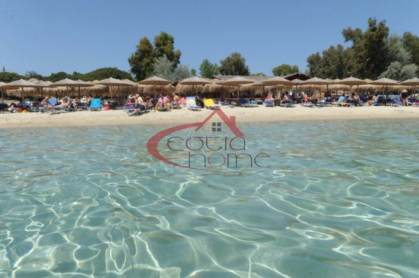 Parcel 7.000sqm for sale-Stagiron - Akanthou » Amoliani