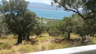 Οικόπεδο 7.603 τ.μ. για πώληση, Ν. Λέσβου, Λέσβος - Μυτιλήνη-thumb-1