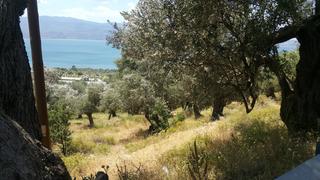 Οικόπεδο 7.603 τ.μ. για πώληση, Ν. Λέσβου, Λέσβος - Μυτιλήνη-thumb-2