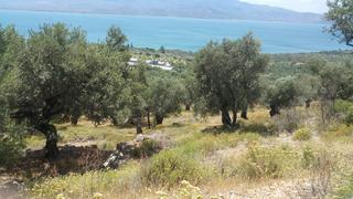 Οικόπεδο 7.603 τ.μ. για πώληση, Ν. Λέσβου, Λέσβος - Μυτιλήνη-thumb-3