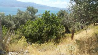 Οικόπεδο 7.603 τ.μ. για πώληση, Ν. Λέσβου, Λέσβος - Μυτιλήνη-thumb-4