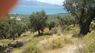 Οικόπεδο 7.603 τ.μ. για πώληση, Ν. Λέσβου, Λέσβος - Μυτιλήνη-thumb-6