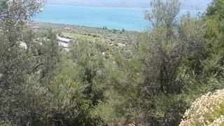 Οικόπεδο 7.603 τ.μ. για πώληση, Ν. Λέσβου, Λέσβος - Μυτιλήνη-thumb-7